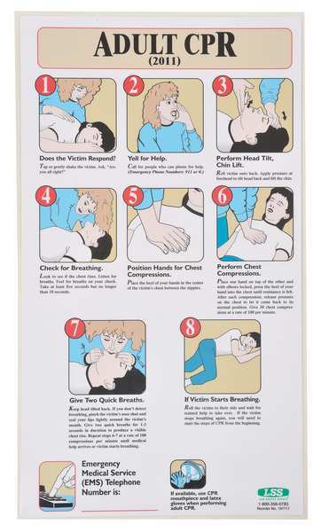 First Aid Poster, 19-1/2 x 11 in, English