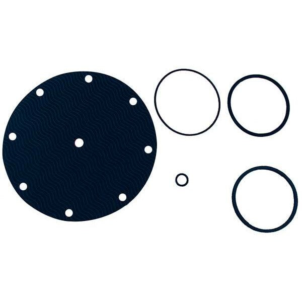 Valve Rebuild Kit, For Use with 6CJP2-4