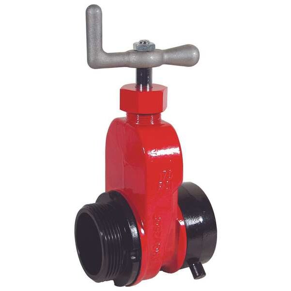 Gate Valve, Single, 2-1/2 In NST