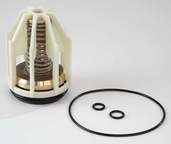 Repair Kit, Watts Series 009, 2-1/2 to 3In