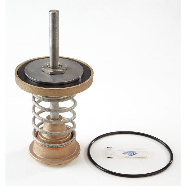 Repair Kit, Watts Series 909, 4 In