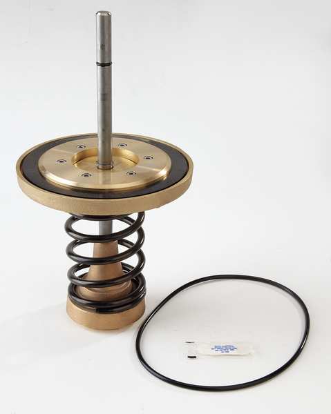 Repair Kit, Watts Series 909, 6 In