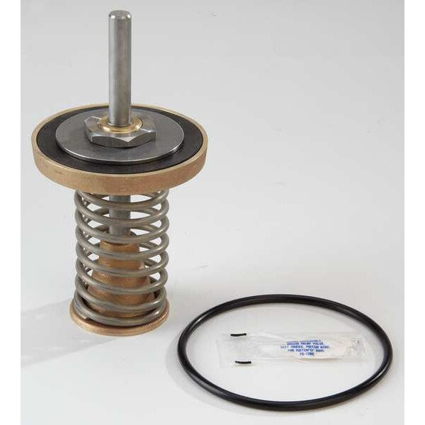 Repair Kit, Watts Series 909, 2-1/2 to 3In