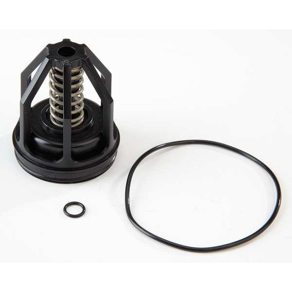 Repair Kit, Watts Series 009 M2, 2 In