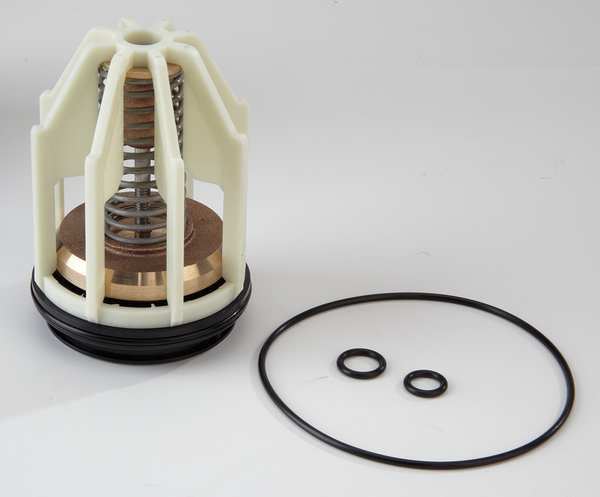 Repair Kit, Watts Series 009, 2-1/2 to 3In
