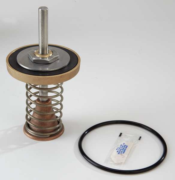 Repair Kit, Watts Series 909, 2-1/2 to 3In