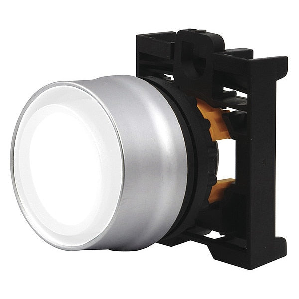 Ill Mom Pb Sil-bzl Flsh Blu, 22.5 mm, White