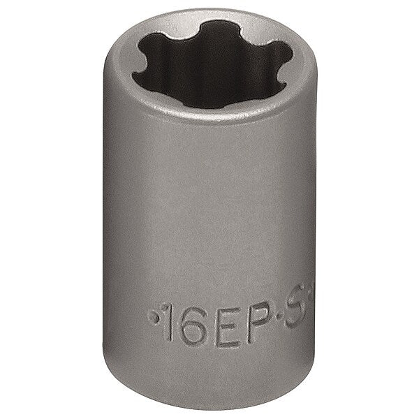 Socket, 3/8 in Drive, 6-Point Shape