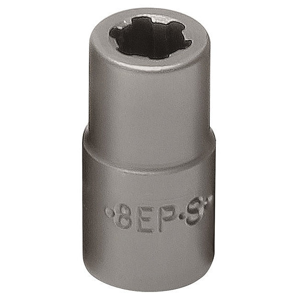 Socket, 1/4 in Drive, 6-Point Shape