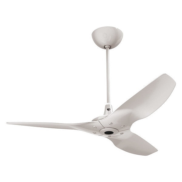 Ceiling Fan, 1 Phase, 100/240VAC