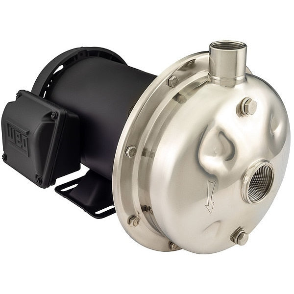 Centrifugal Pump, 230VAC, SS