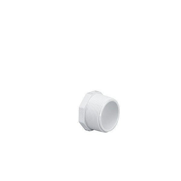 Plug, 1 1/2 in, Schedule 40, MNPT, White