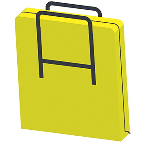 Carrying Bag