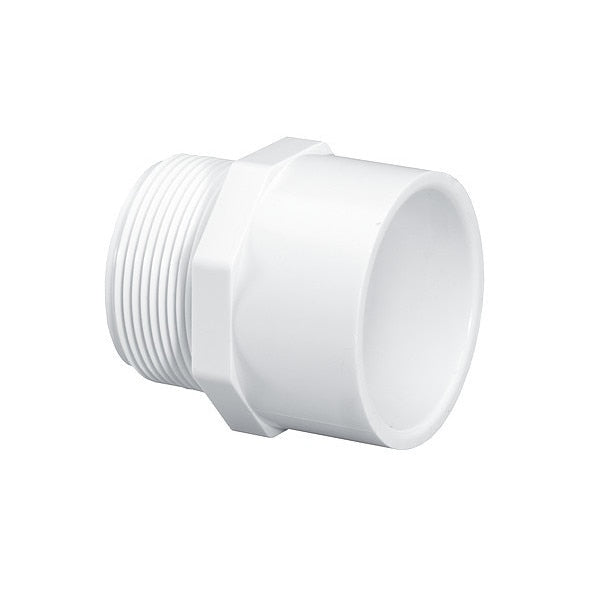Adapter, 2 in, Schedule 40, Socket x MNPT