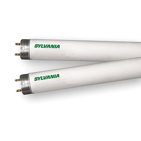 Fluorescent, 32 W, T8, Medium Bi-Pin (G13)