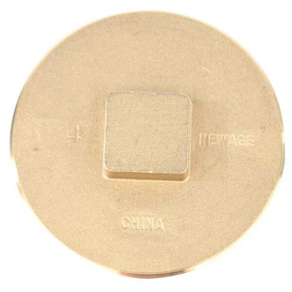 Raised Square Plug, Brass, 3 in, Socket