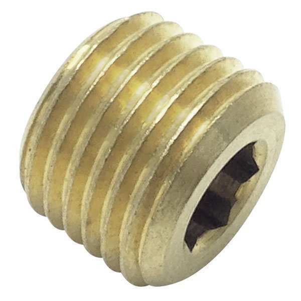 Internal Hex Head Plug, 5/16 in L