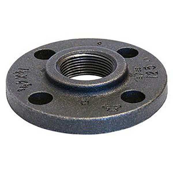 Flange, Threaded, Cast Iron, 2