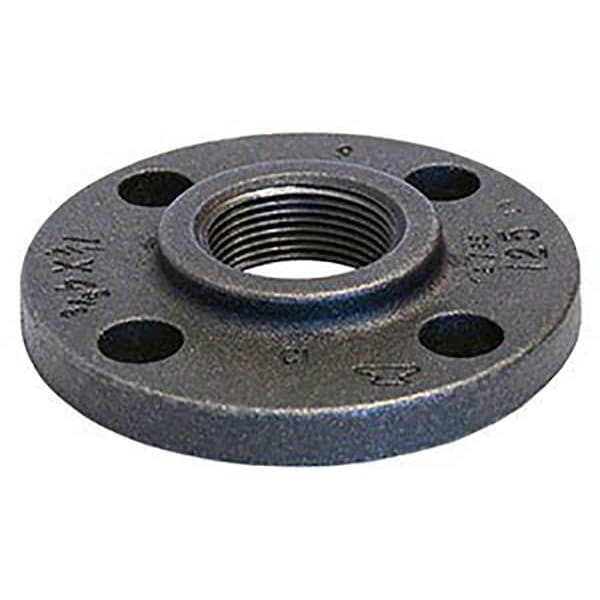 Flange, Threaded, Cast Iron, 3