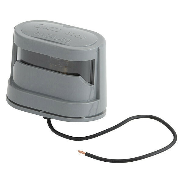 License Lamp