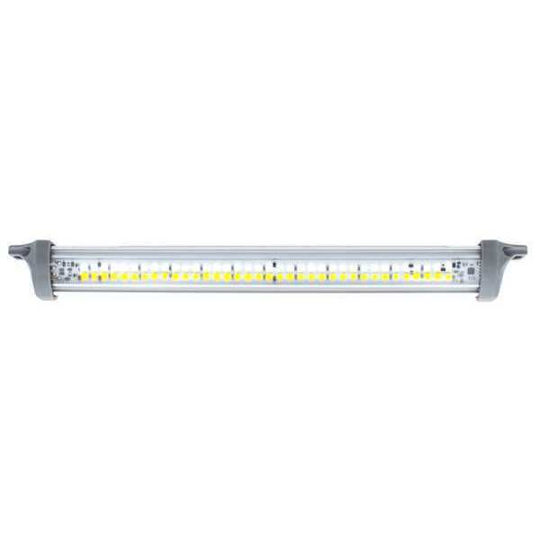 Dual Light/Warning Light