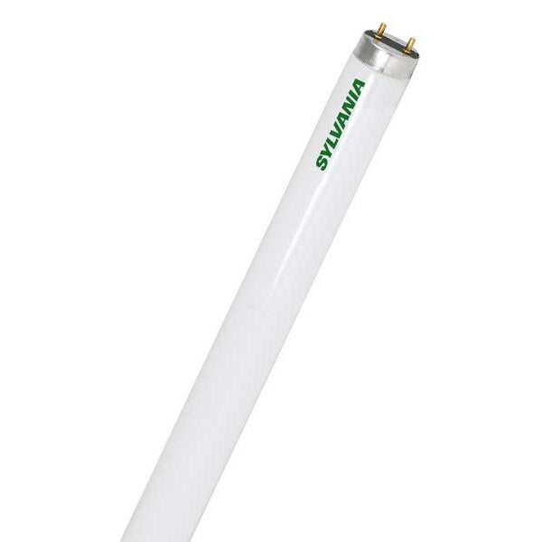 Fluorescent, 25 W, T8, Medium Bi-Pin (G13)
