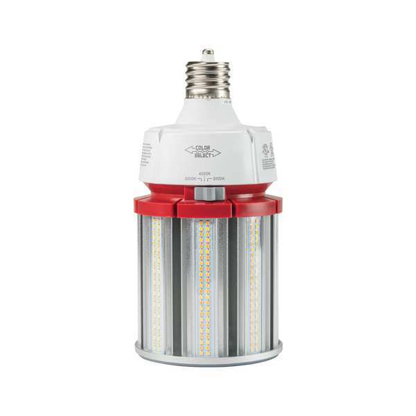 Corn Cobb Lamp