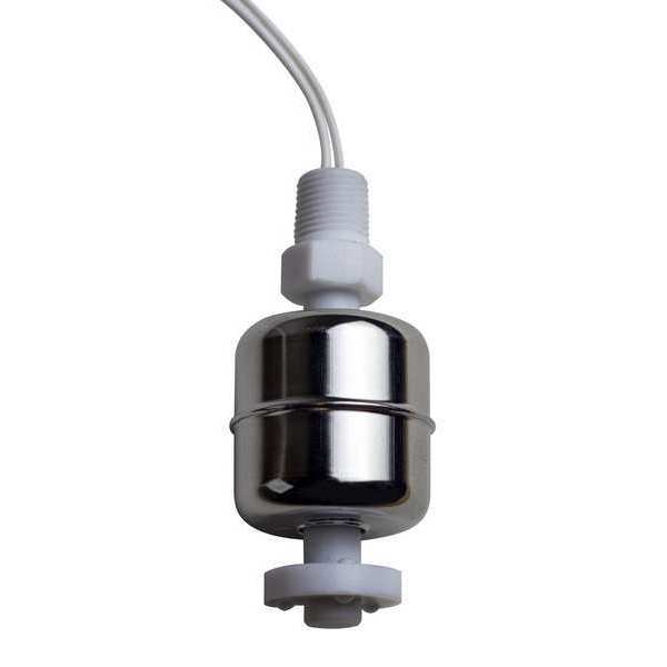 Float Switch, SS Body, 1.13