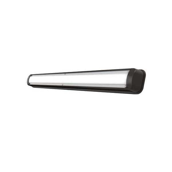 Vandal and Ligature Resistant Fixture