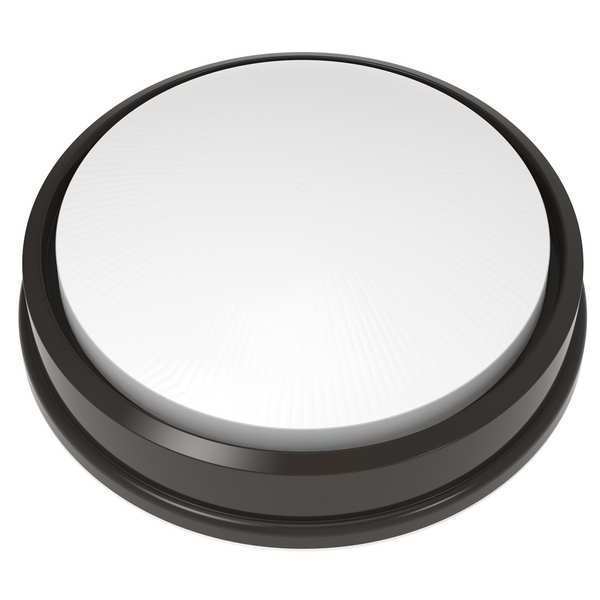 Vandal and Ligature Resistant Fixture