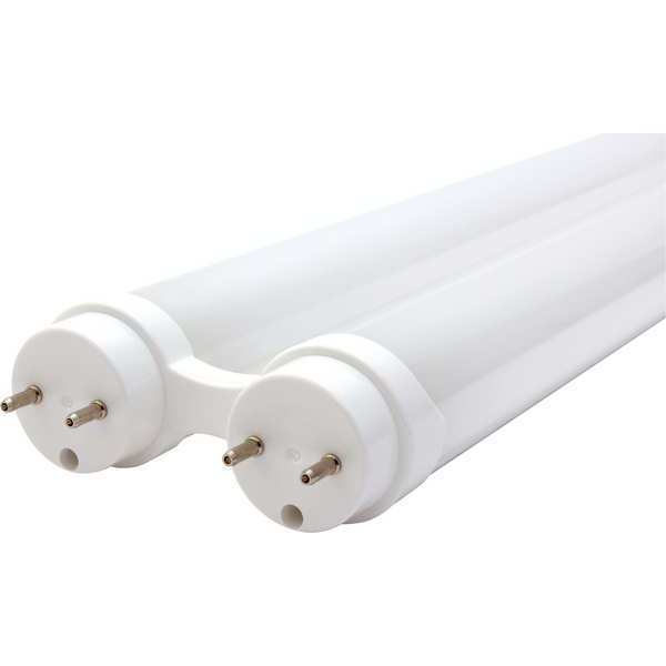 LED Type B U Lamp, T8, G13,5000 K