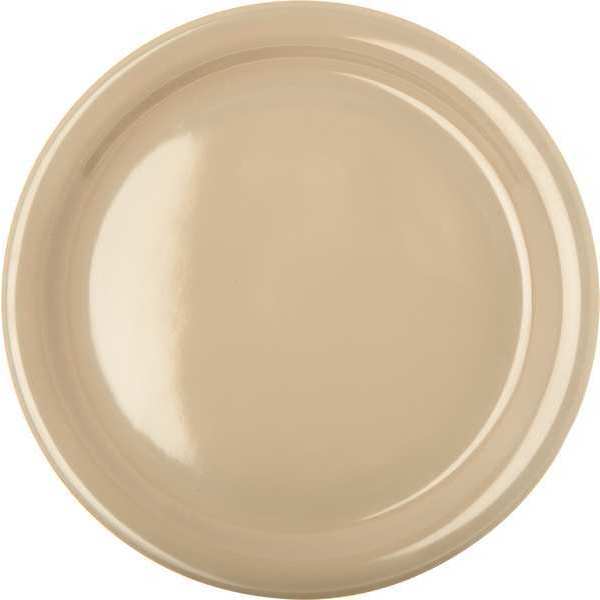 Dinner Plate, 8.92