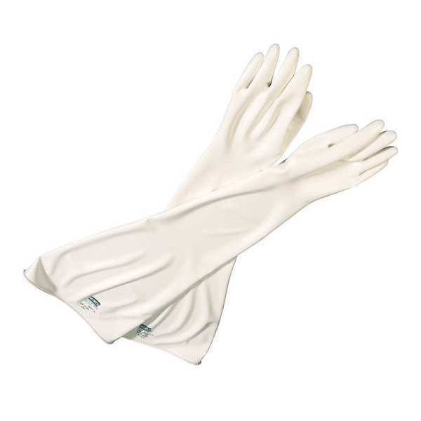 Glovebox Glove, 10-1/2 Size, 32