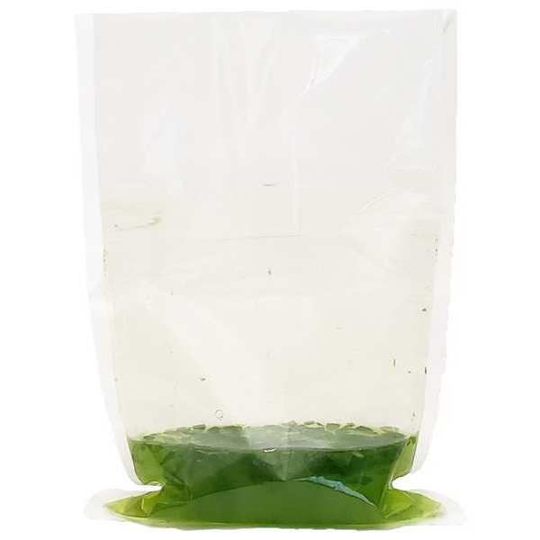Blender Bag, 400mL, PK500