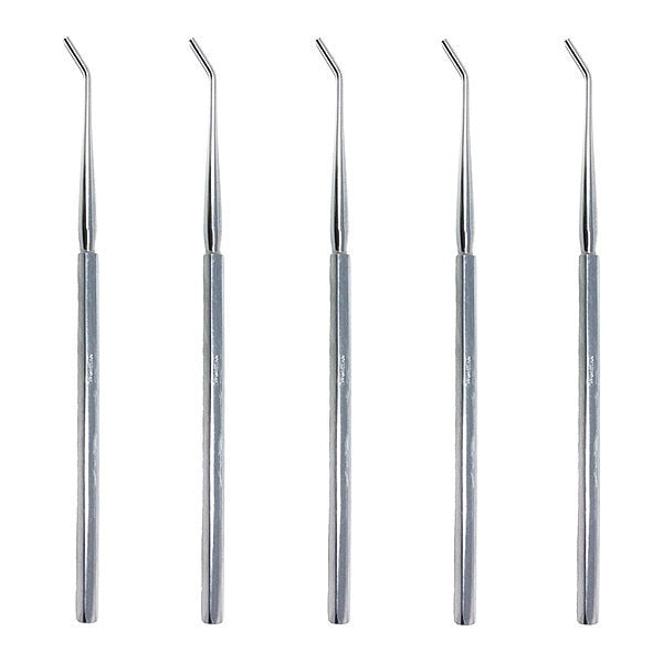 Lab Dissecting Probe and Seeker, 5