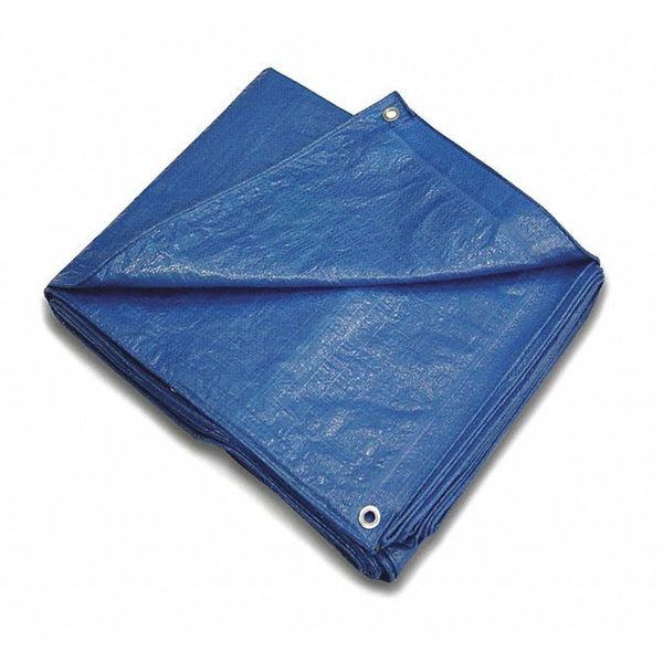 Blue Tarps, 8' X 10', PK2
