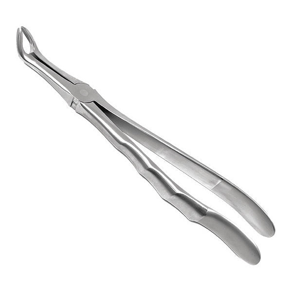 Dental Extractng Forcep, #846, Anatomical
