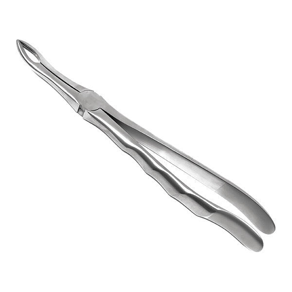 Dental Extracting Forcep, #845, Anatomical