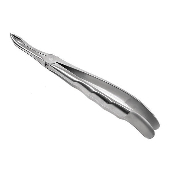 Dental Extracting Forcep, #849, Anatomical