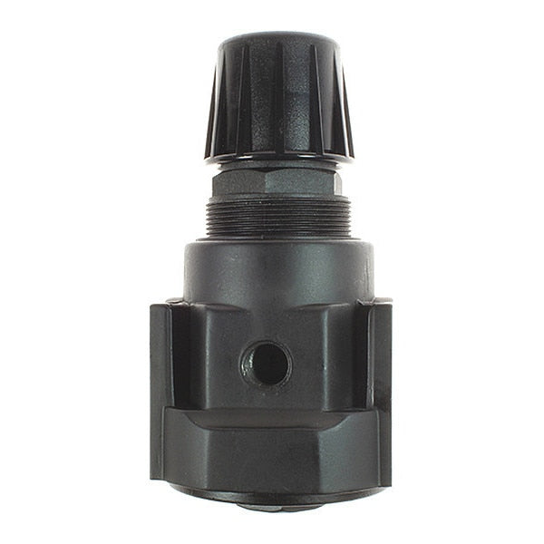 Regulator W/Panel Mount 3/8