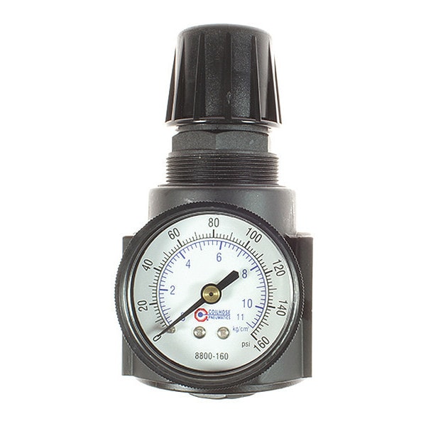 Regulator W/Gauge Panel Mount 3/8