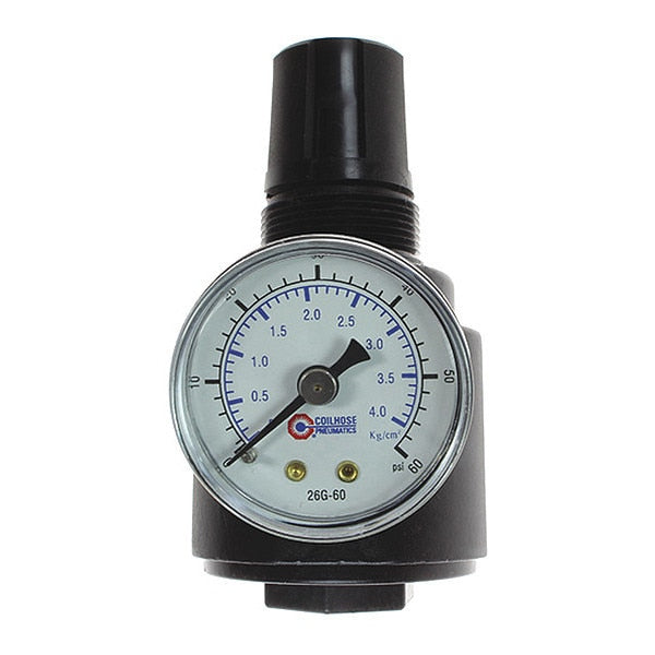 Regulator W/Gauge 0-25PSI 1/4