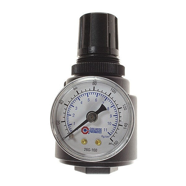 Regulator W/Gauge Panel Mount 3/8