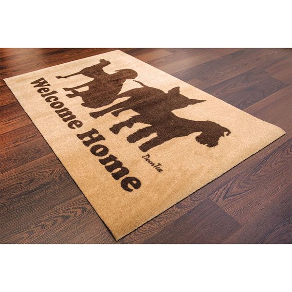 Door Mat, Brown, 24 in W x