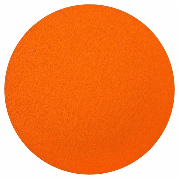 Sanding Disc, Abrasive Ceramic, 12