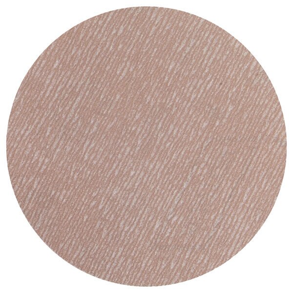 Hook-and-Loop Sanding Disc, 6