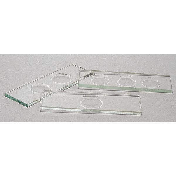Thick Concavity Slides, 75 x 25mm, PK12
