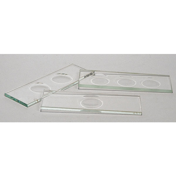 Thick Concavity Slides, 75 x 25mm, PK12