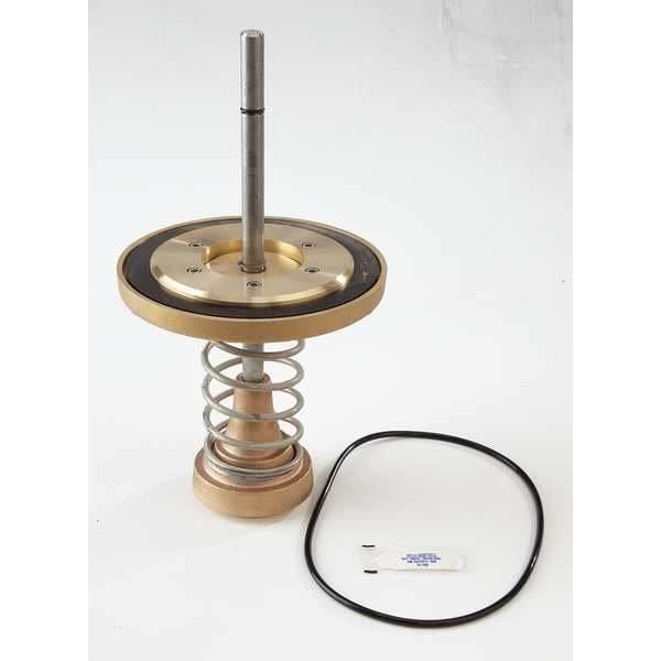 Repair Kit, Watts Series 909, 8 In