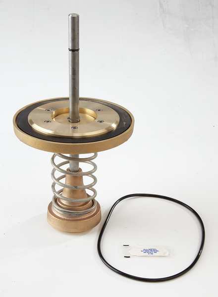 Repair Kit, Watts Series 909, 6 In